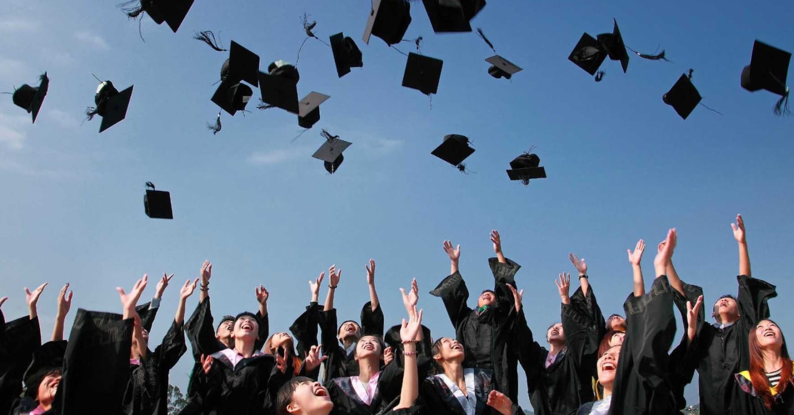 Gen Z Mulai Ragukan Nilai Gelar Sarjana di Era AI, Tapi Peluang Baru Muncul